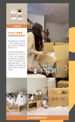 首頁 49 貓嶼 募資頁面 08